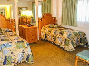 סיינט פיט ביץ' Coral Reef Resort חדר תמונה